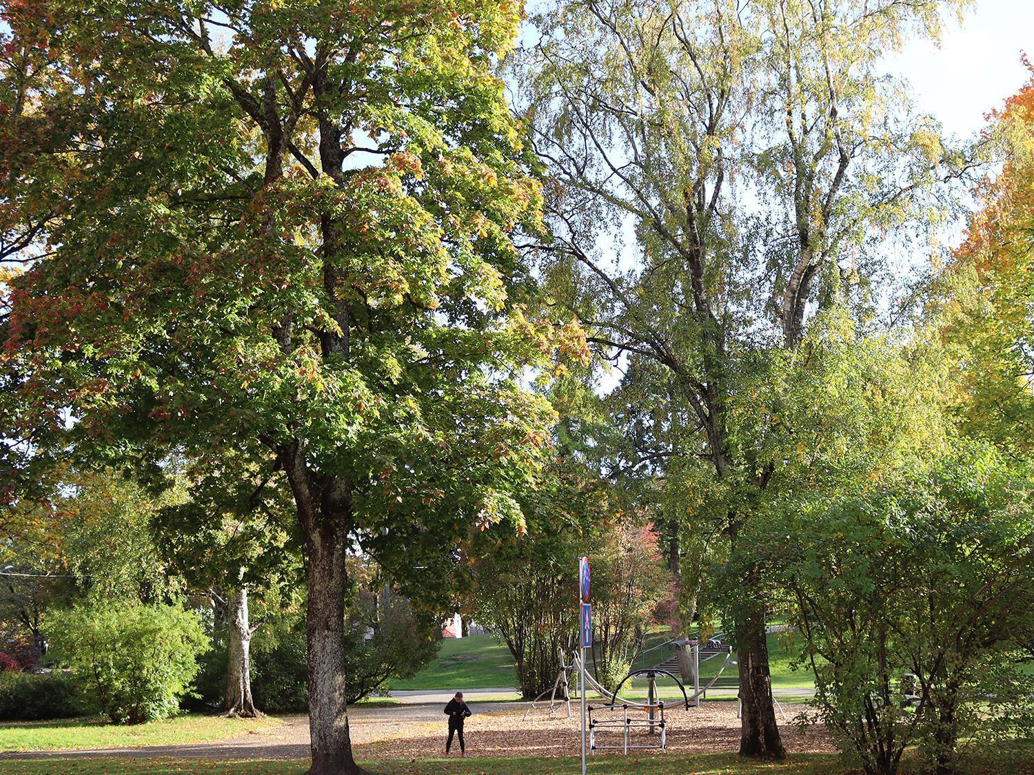 Hostel Lõuna Pärnu Exterior foto
